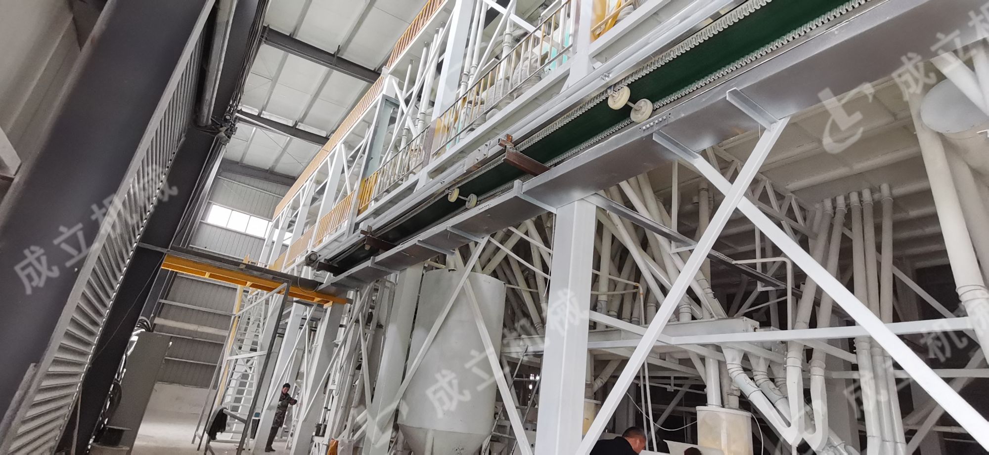 現(xiàn)場(chǎng)6