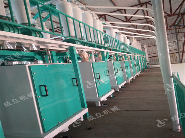 100噸玉米加工機(jī)械